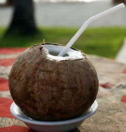 椰子不能與什么食物同食